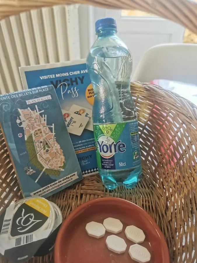Appartamento Location meublée vichy avec cour privative Francia